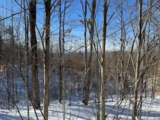 LOT#32 Beech Ridge Lane West Paris ME 04289