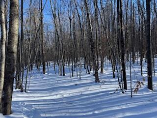 LOT#32 Beech Ridge Lane West Paris ME 04289