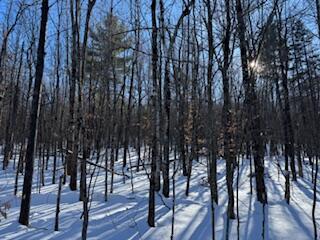 LOT#32 Beech Ridge Lane West Paris ME 04289