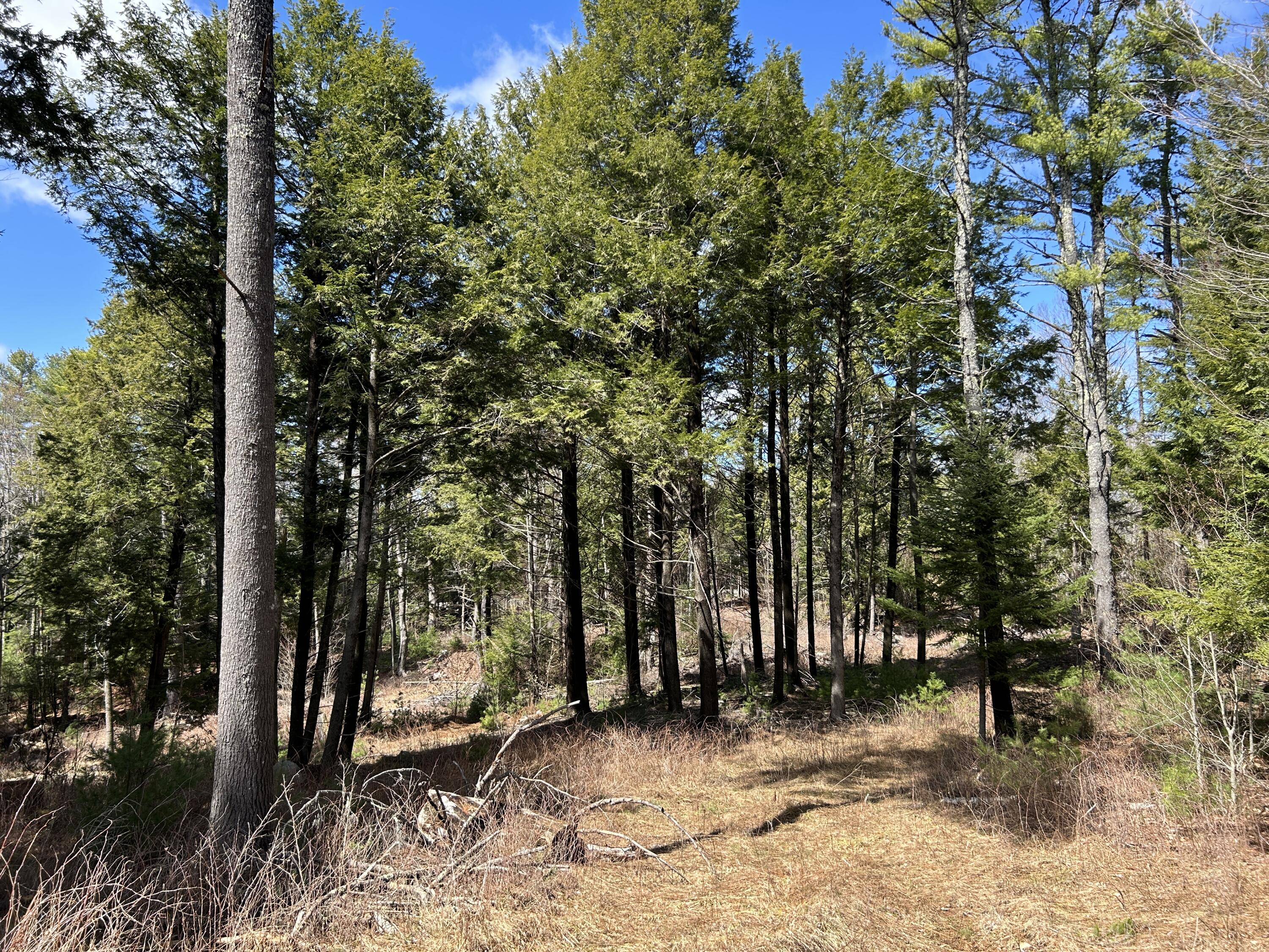Lot 1 Waldoboro Road Washington ME 04574
