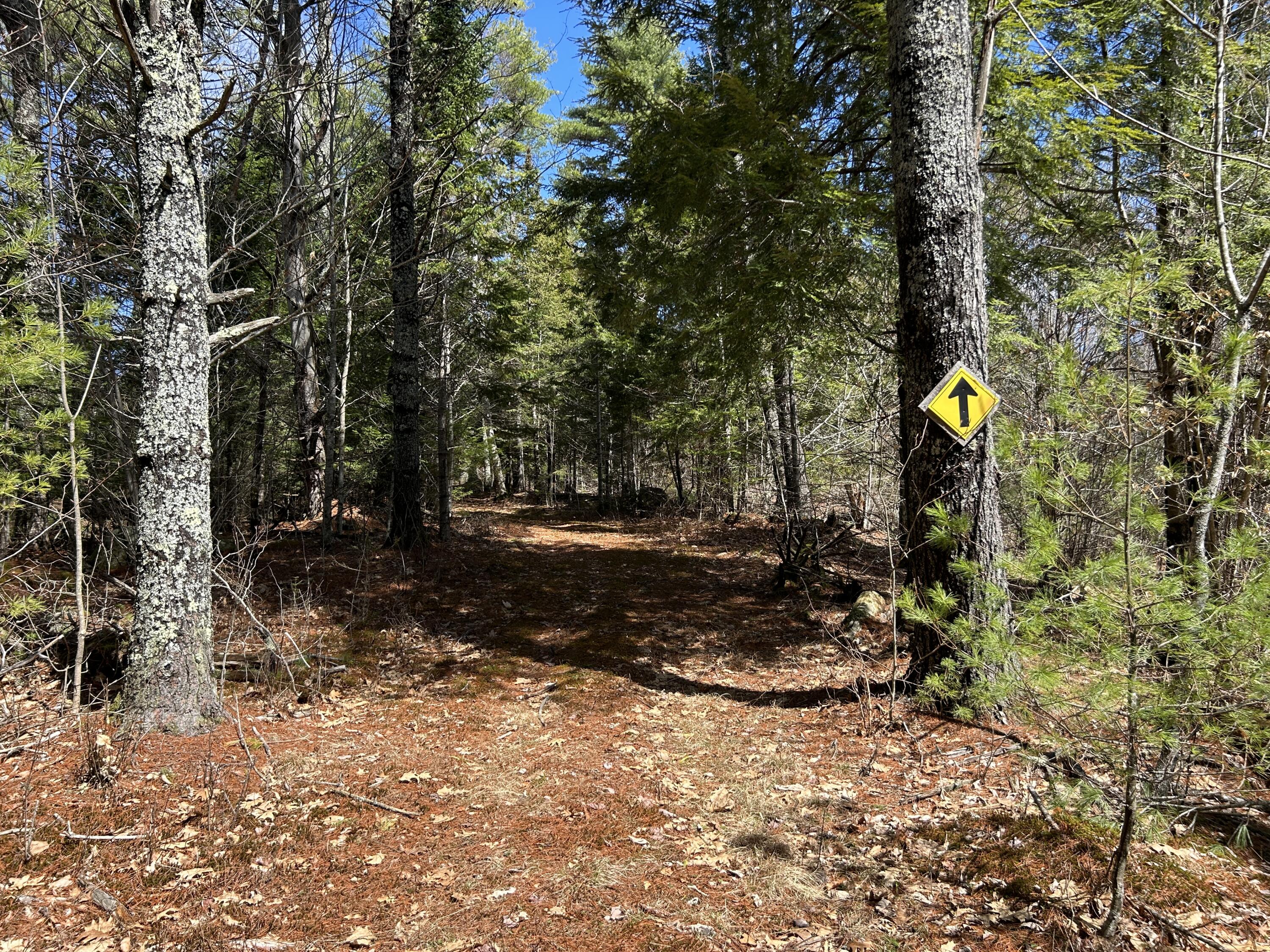 Lot 1 Waldoboro Road Washington ME 04574