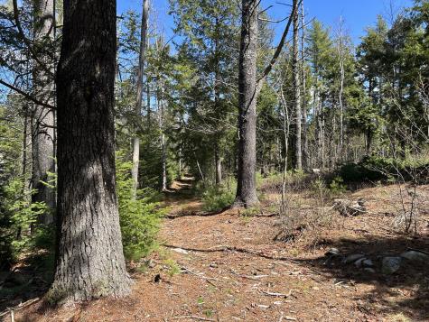 Lot 1 Waldoboro Road Washington ME 04574