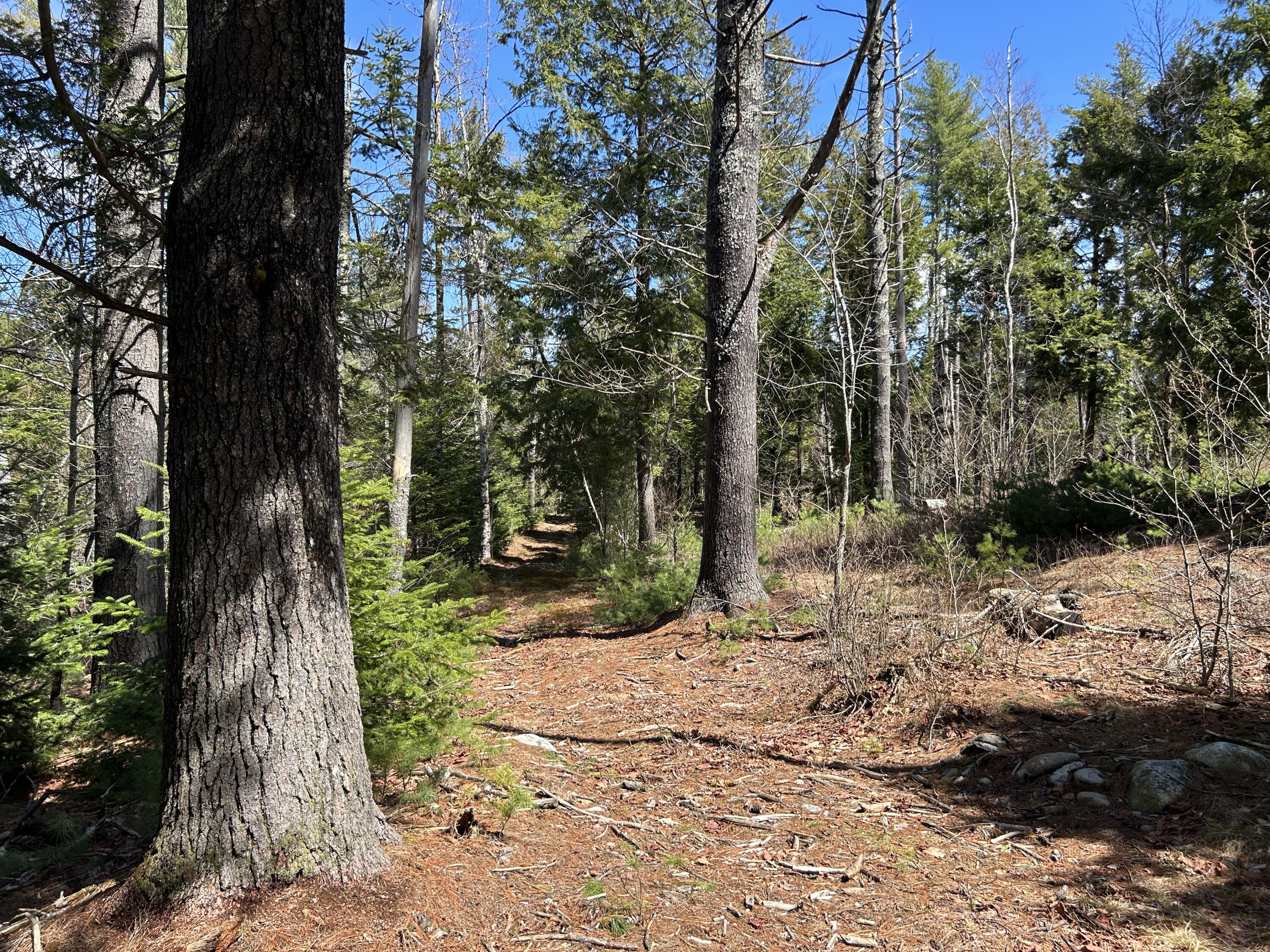 Lot 1 Waldoboro Road Washington ME 04574