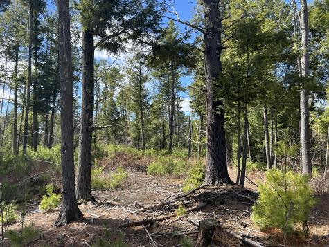 Lot 1 Waldoboro Road Washington ME 04574