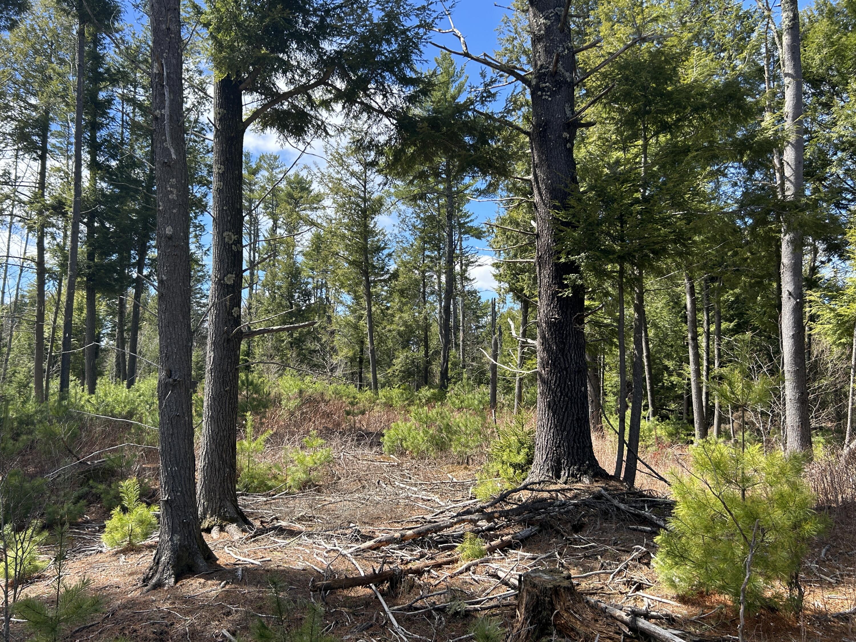 Lot 1 Waldoboro Road Washington ME 04574