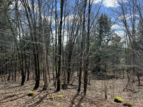 Lot 1 Waldoboro Road Washington ME 04574