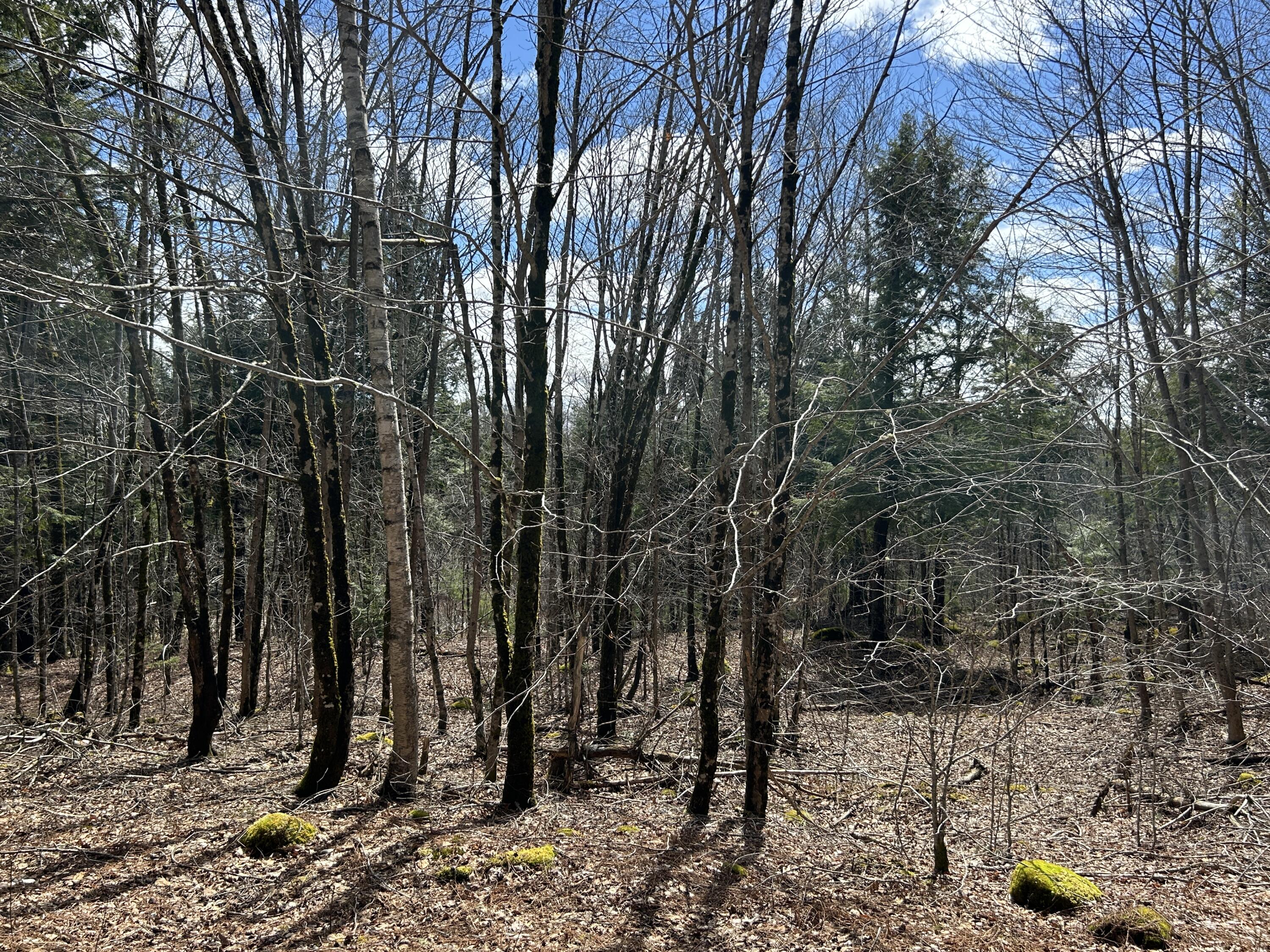 Lot 1 Waldoboro Road Washington ME 04574