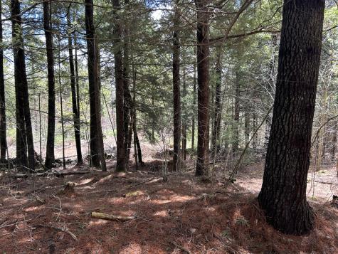 Lot 1 Waldoboro Road Washington ME 04574
