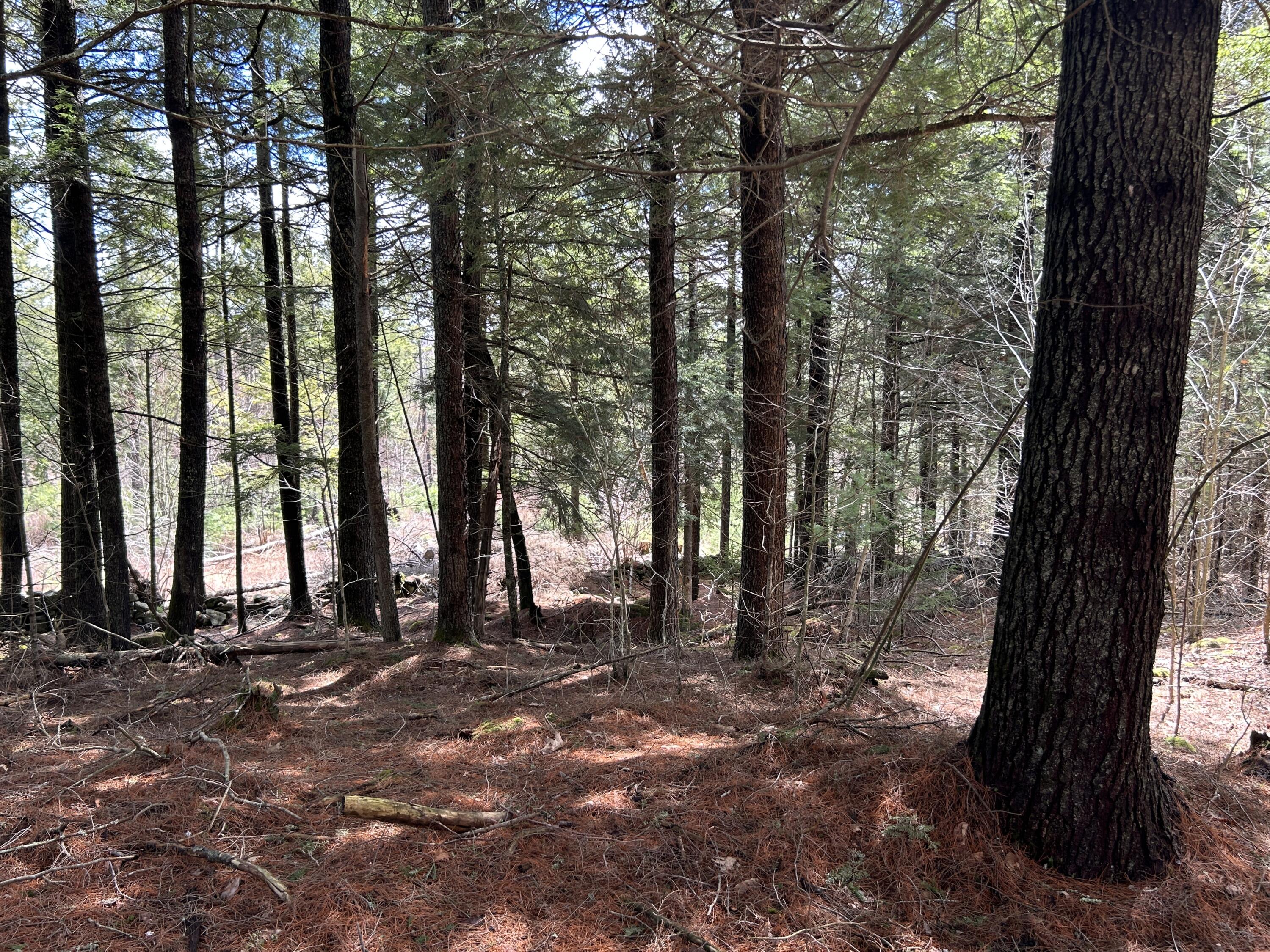Lot 1 Waldoboro Road Washington ME 04574