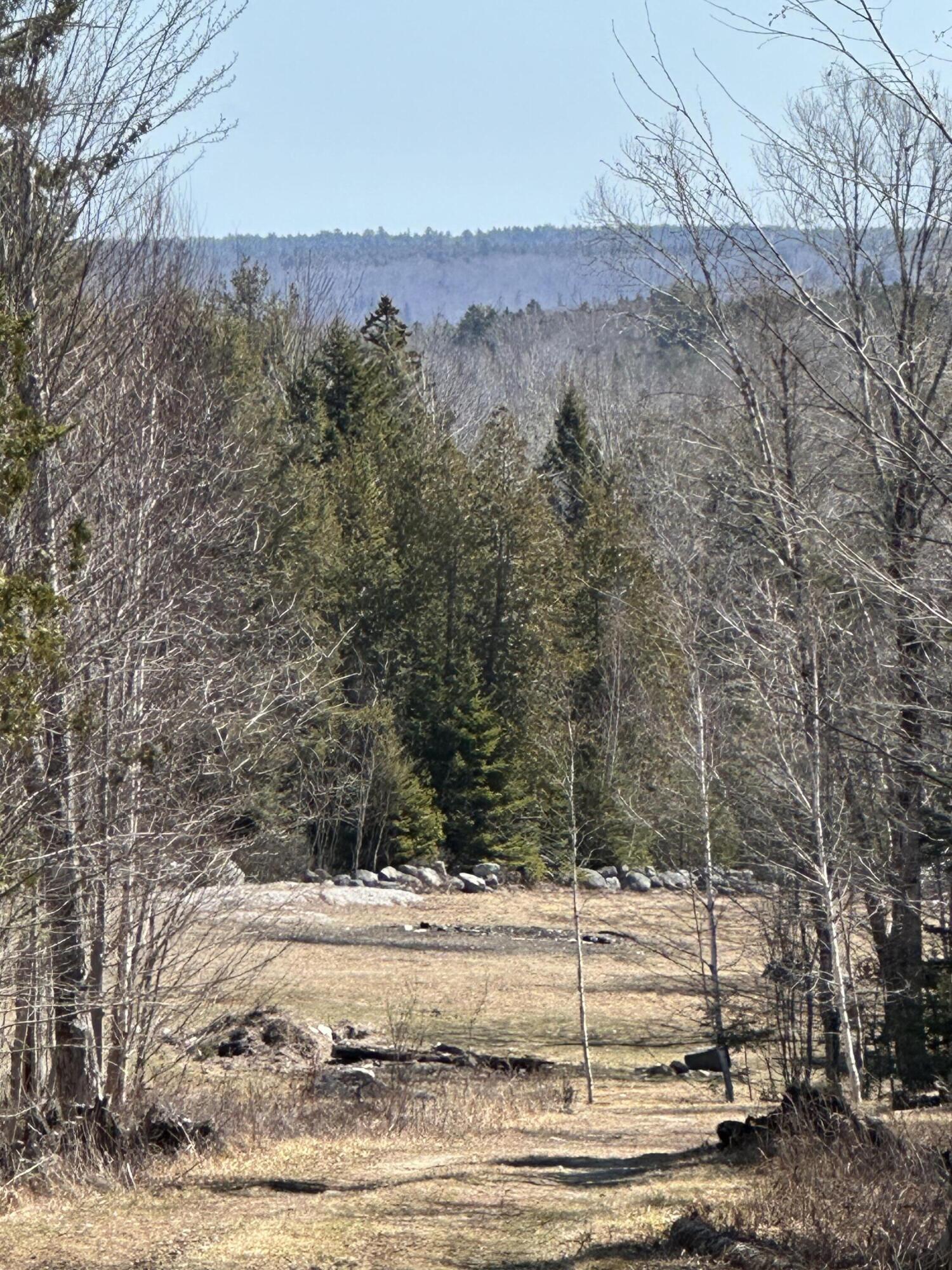 Lot #0 Morgan Bay Road Surry ME 04684