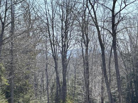 Lot #0 Morgan Bay Road Surry ME 04684