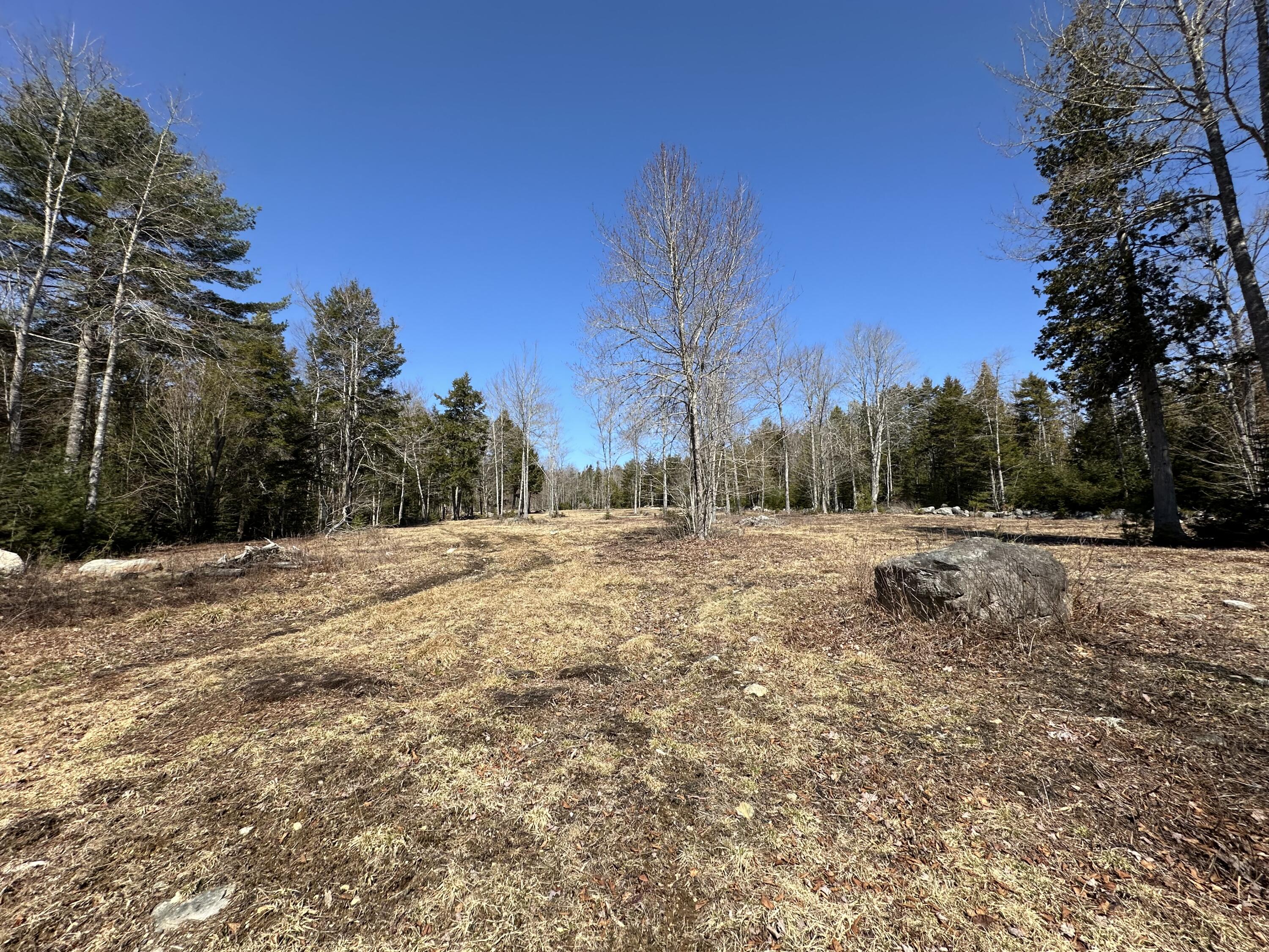 Lot #0 Morgan Bay Road Surry ME 04684