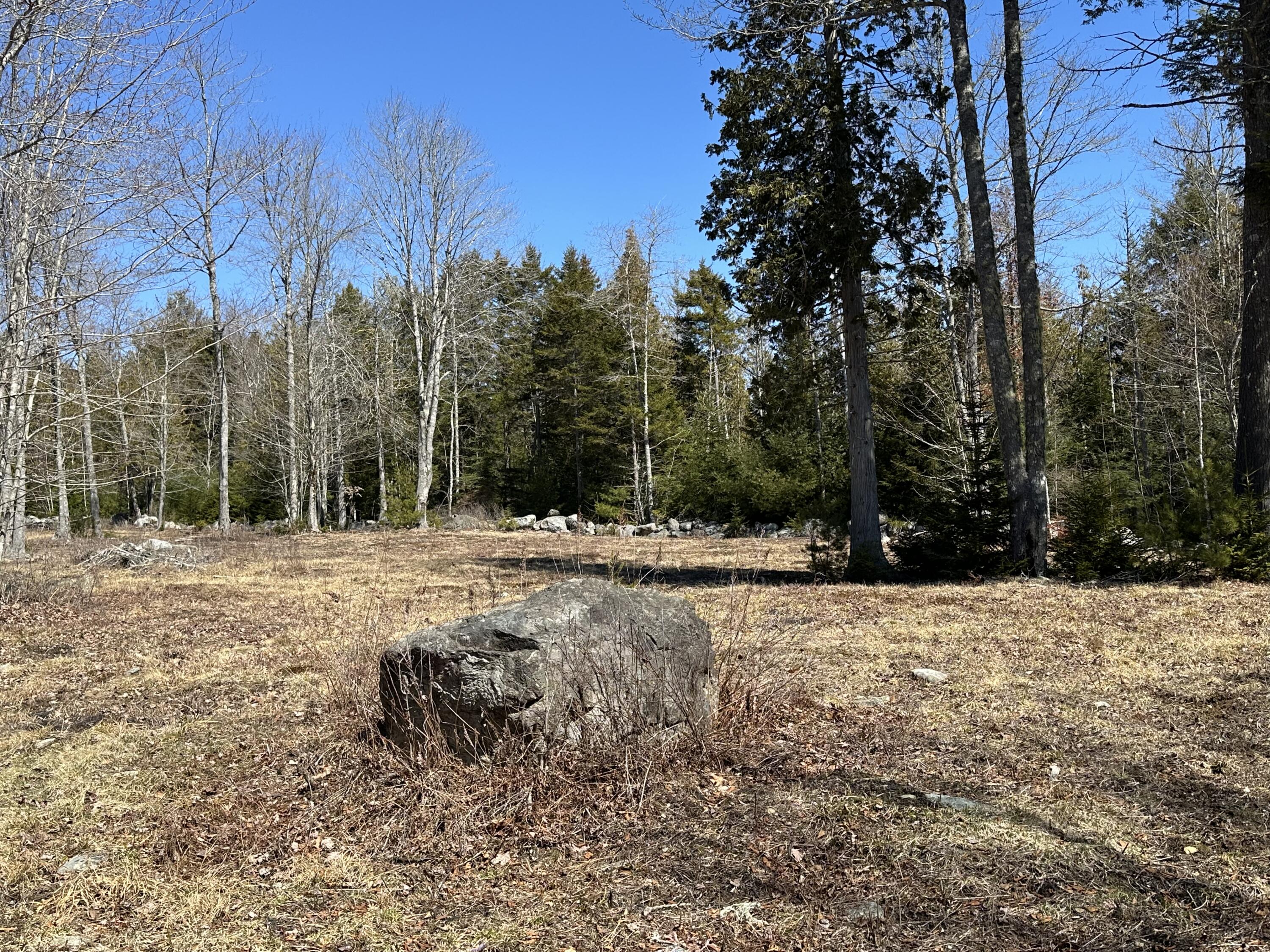 Lot #0 Morgan Bay Road Surry ME 04684