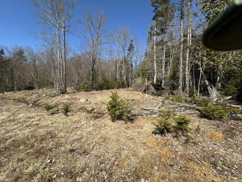 Lot #0 Morgan Bay Road Surry ME 04684