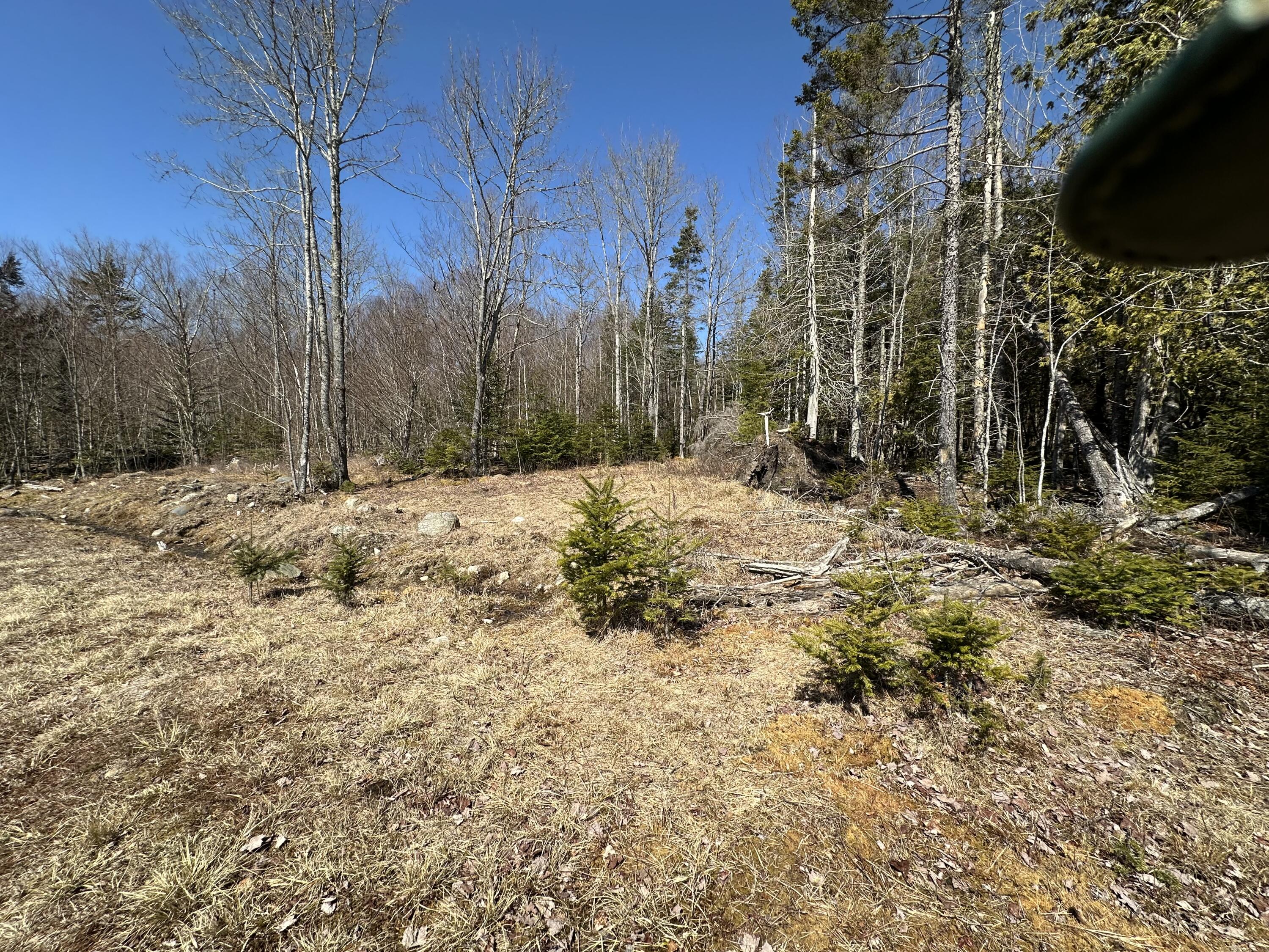 Lot #0 Morgan Bay Road Surry ME 04684