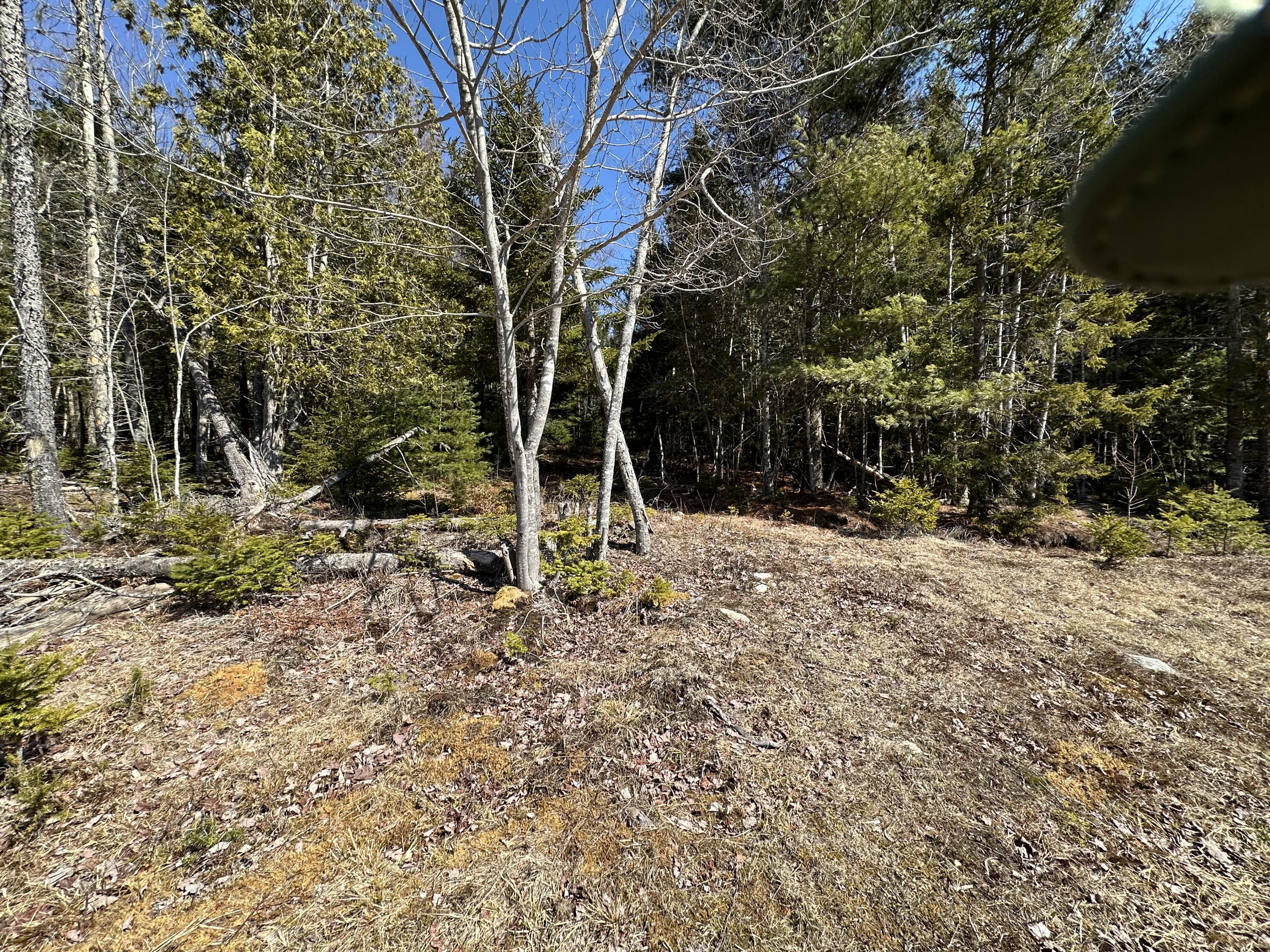 Lot #0 Morgan Bay Road Surry ME 04684