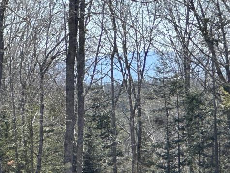 Lot #0 Morgan Bay Road Surry ME 04684