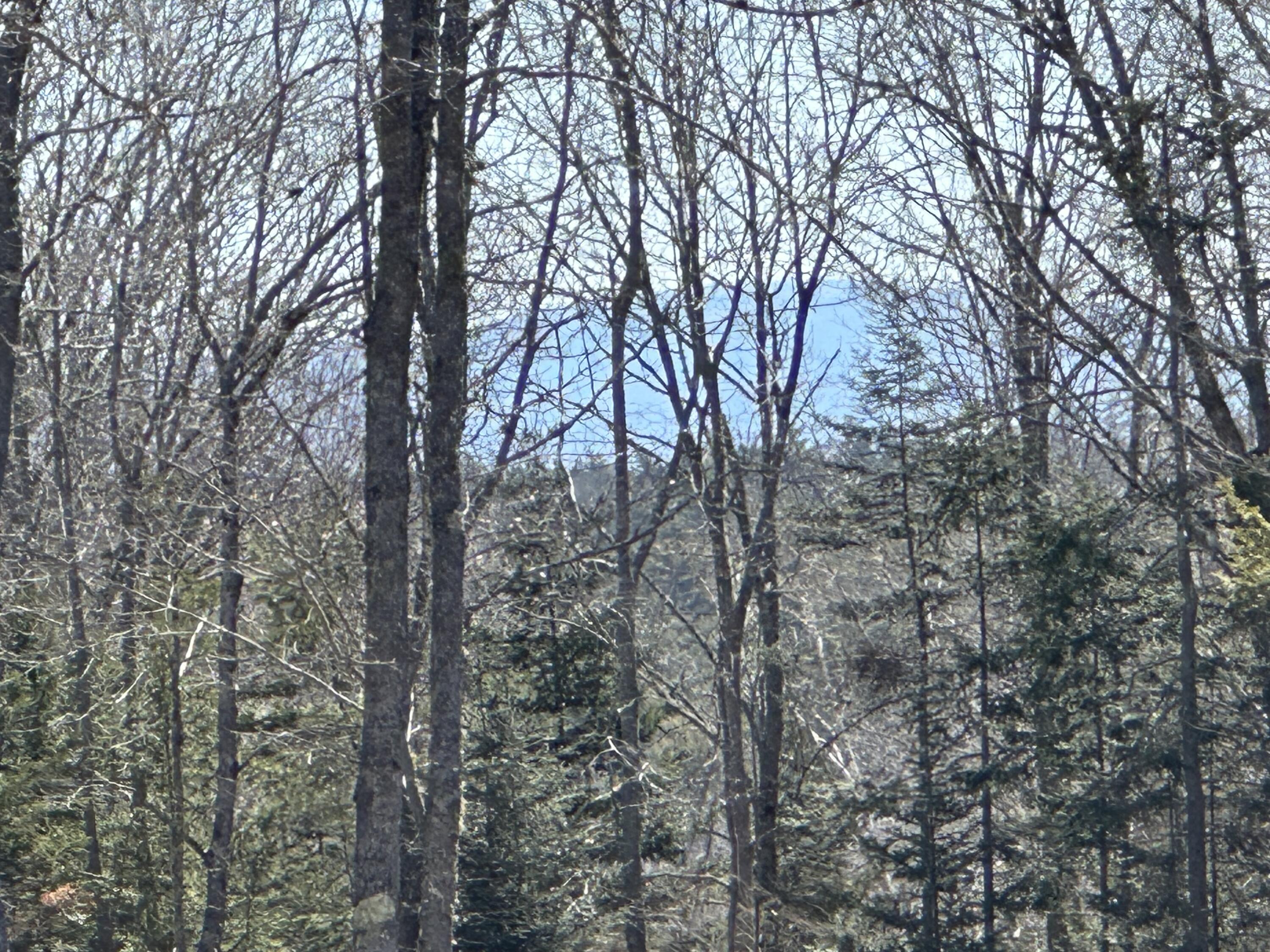 Lot #0 Morgan Bay Road Surry ME 04684