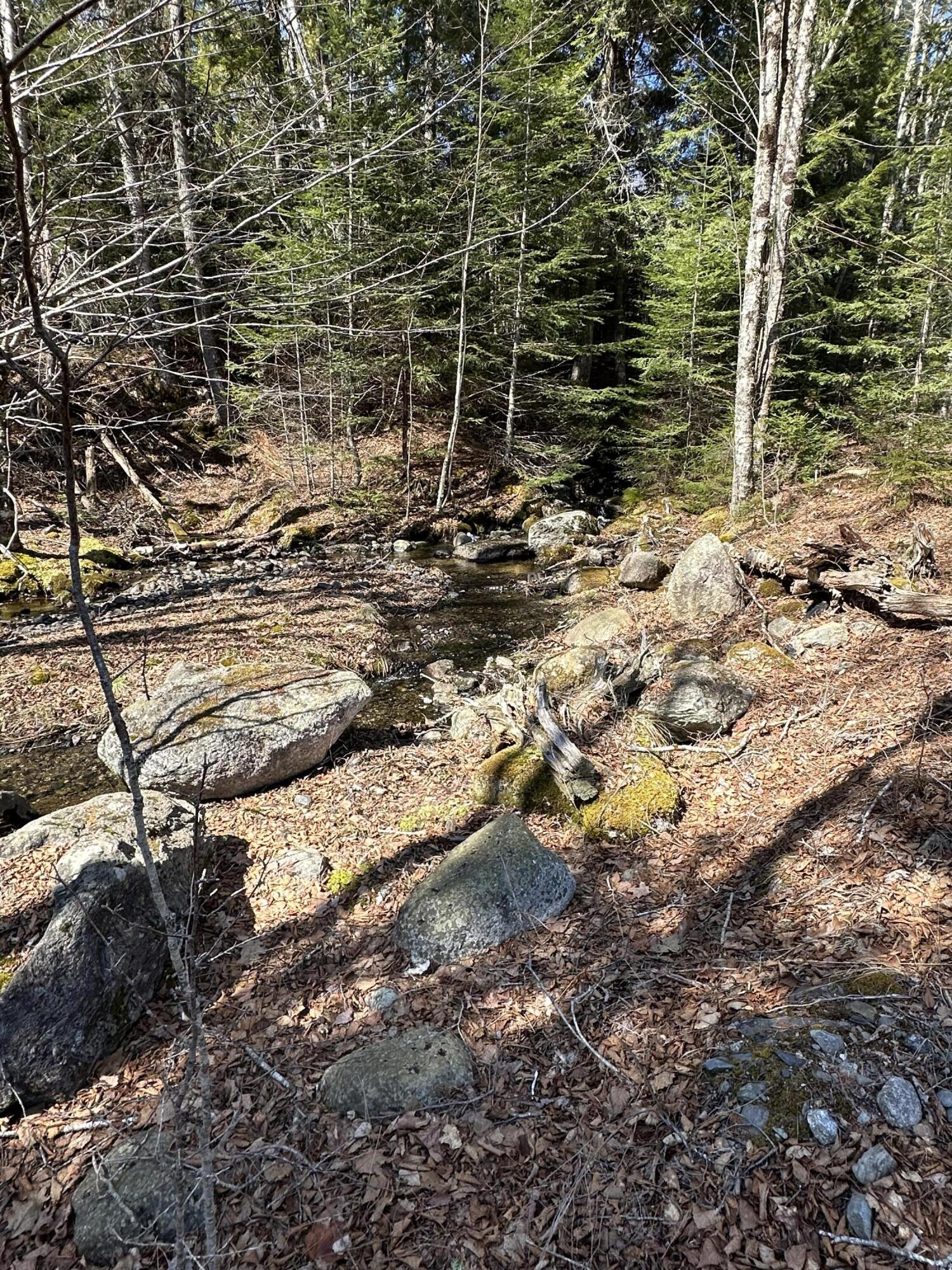 Lot #0 Morgan Bay Road Surry ME 04684