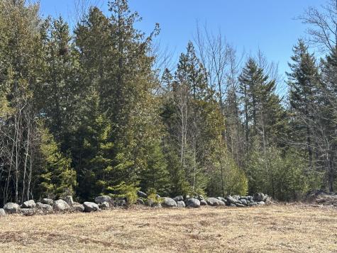 Lot #0 Morgan Bay Road Surry ME 04684