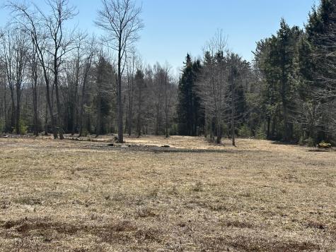 Lot #0 Morgan Bay Road Surry ME 04684