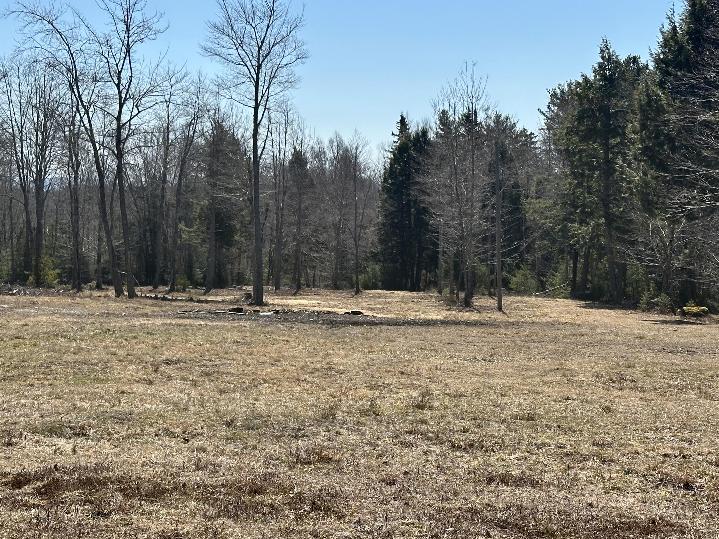 Lot #0 Morgan Bay Road Surry ME 04684