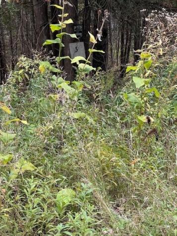 129 Winding Hill Road Saint Albans ME 04971