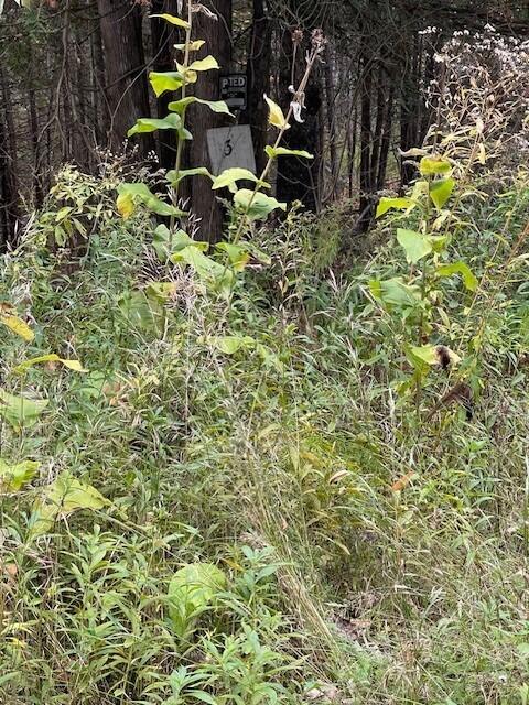 129 Winding Hill Road Saint Albans ME 04971