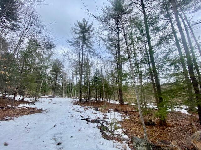 1186 Middle Road Parsonsfield ME 04047