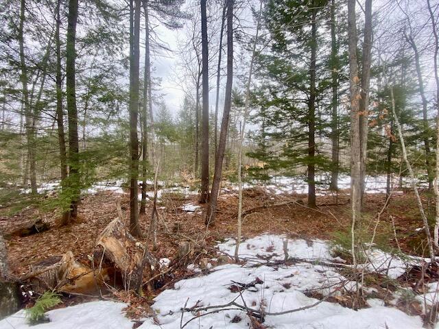 1186 Middle Road Parsonsfield ME 04047