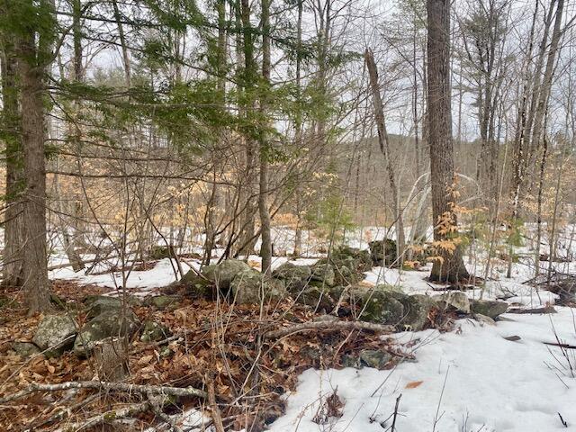 1186 Middle Road Parsonsfield ME 04047
