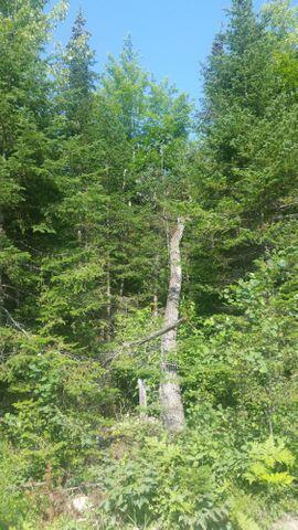 36 Dodge Road Dresden ME 04342