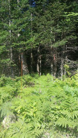 36 Dodge Road Dresden ME 04342