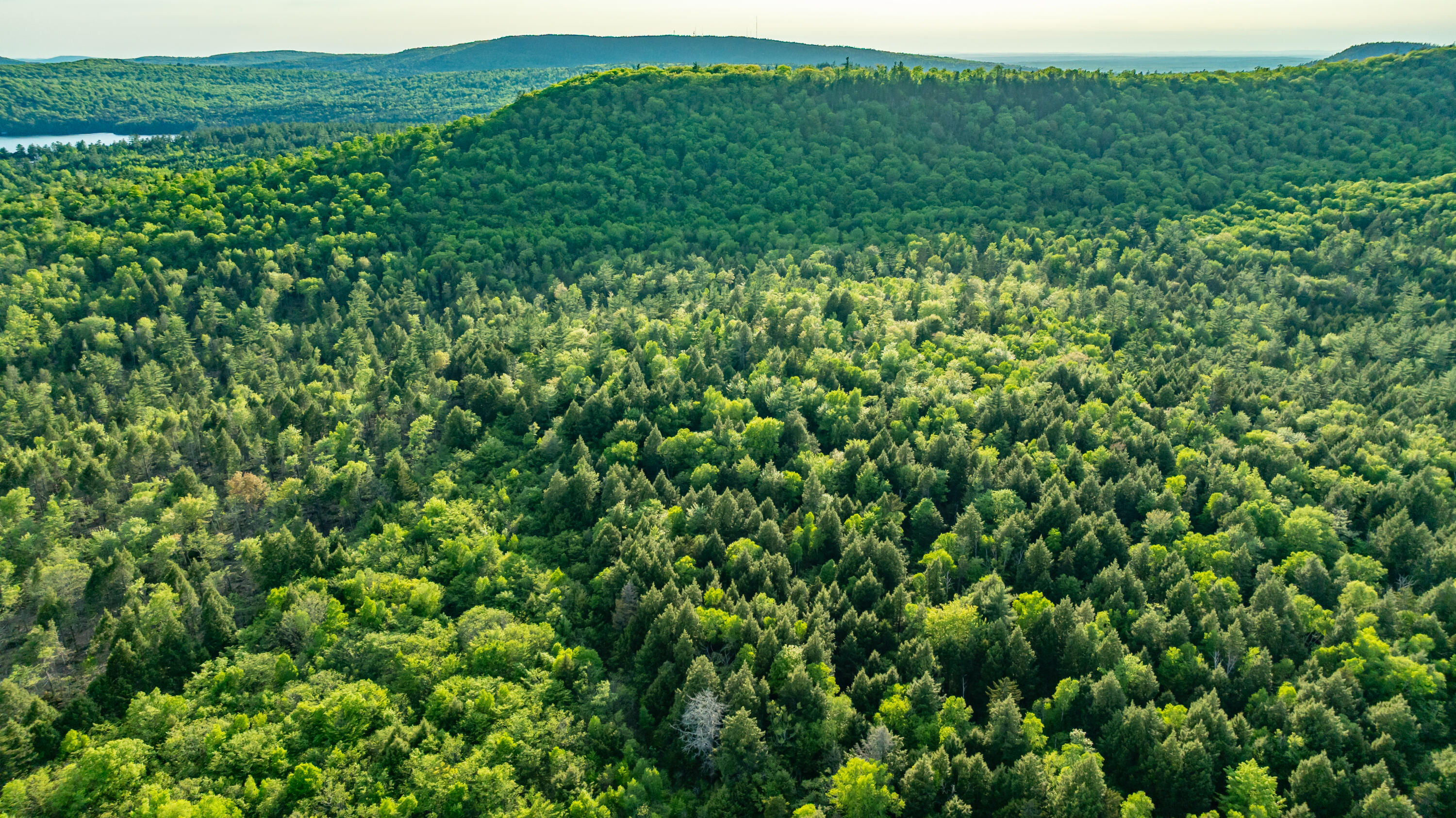 M2L1 Springy Pond Road Clifton ME 04428