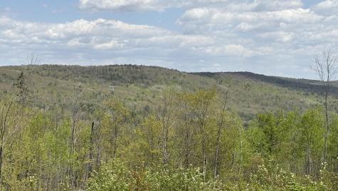 Lot #042 Tower Road Vienna ME 04360