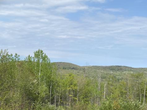 Lot #042 Tower Road Vienna ME 04360