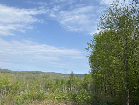 Lot #042 Tower Road Vienna ME 04360