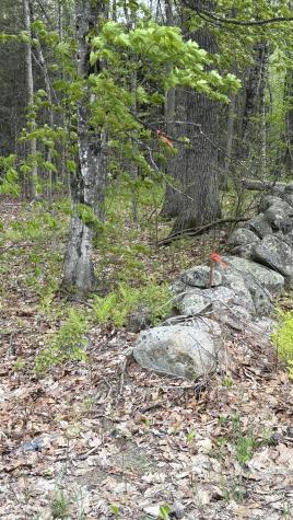 Lot #042 Tower Road Vienna ME 04360