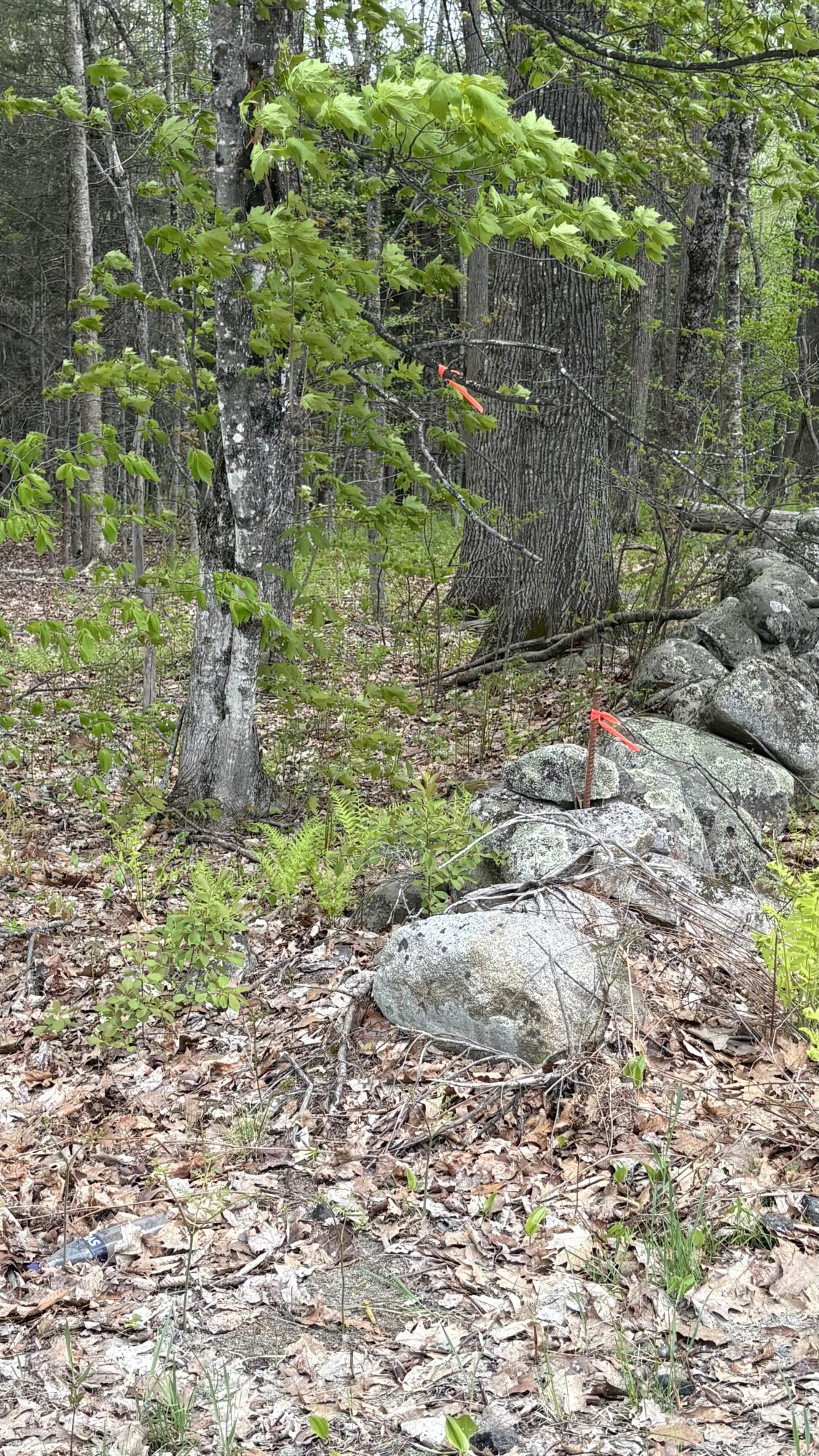 Lot #042 Tower Road Vienna ME 04360
