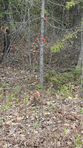 Lot #042 Tower Road Vienna ME 04360