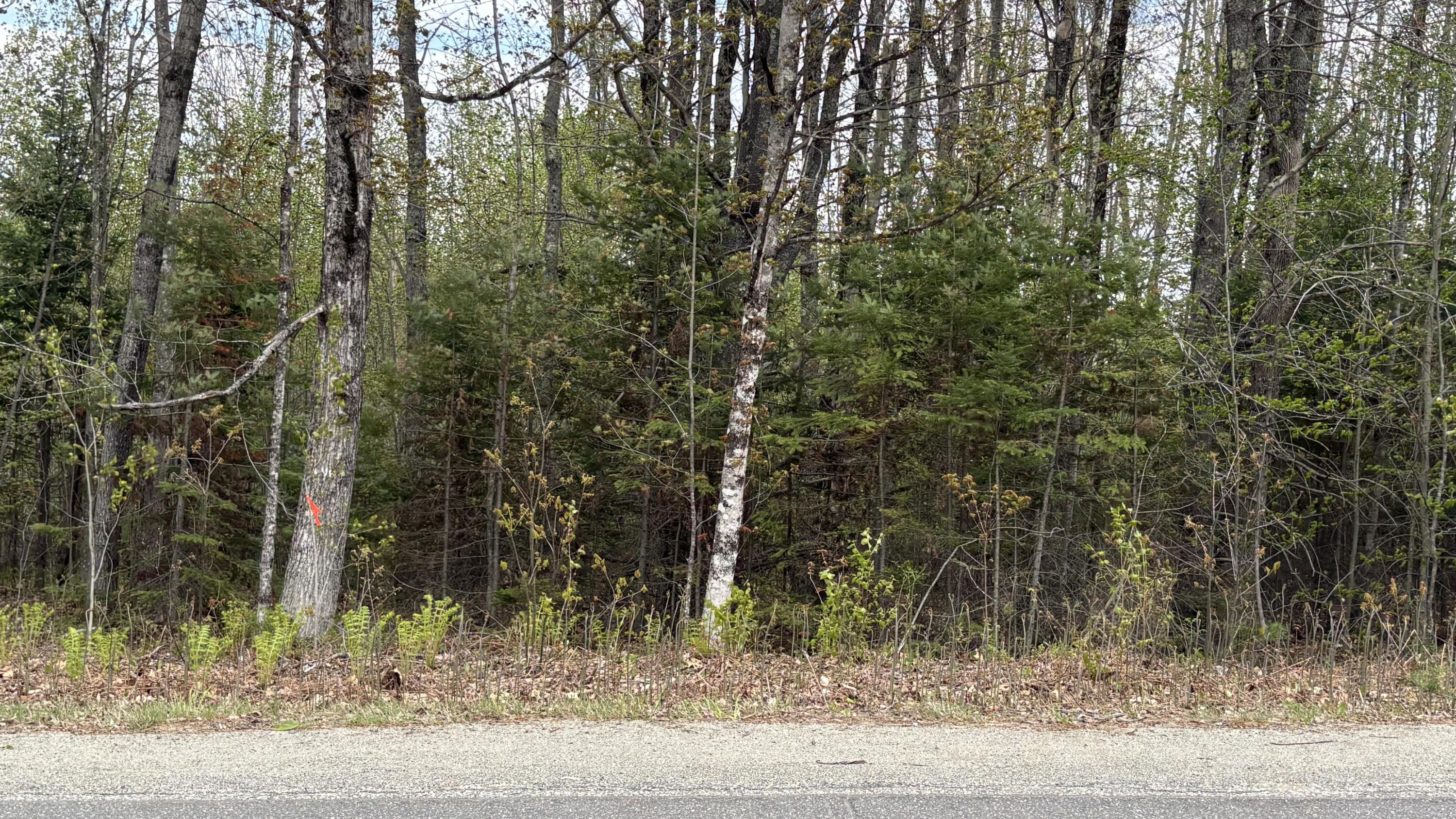 Lot #042 Tower Road Vienna ME 04360