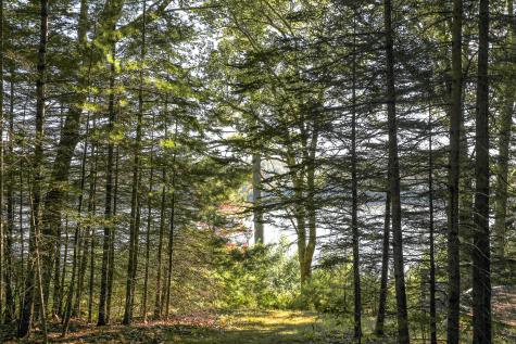 1022 Surry Road Surry ME 04684