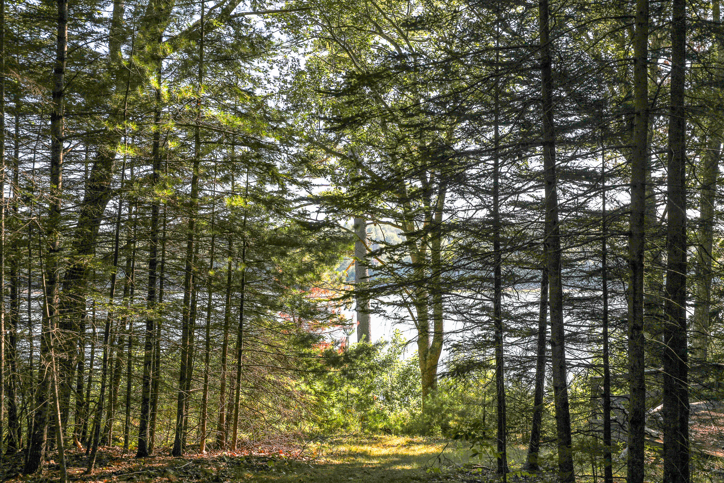 1022 Surry Road Surry ME 04684