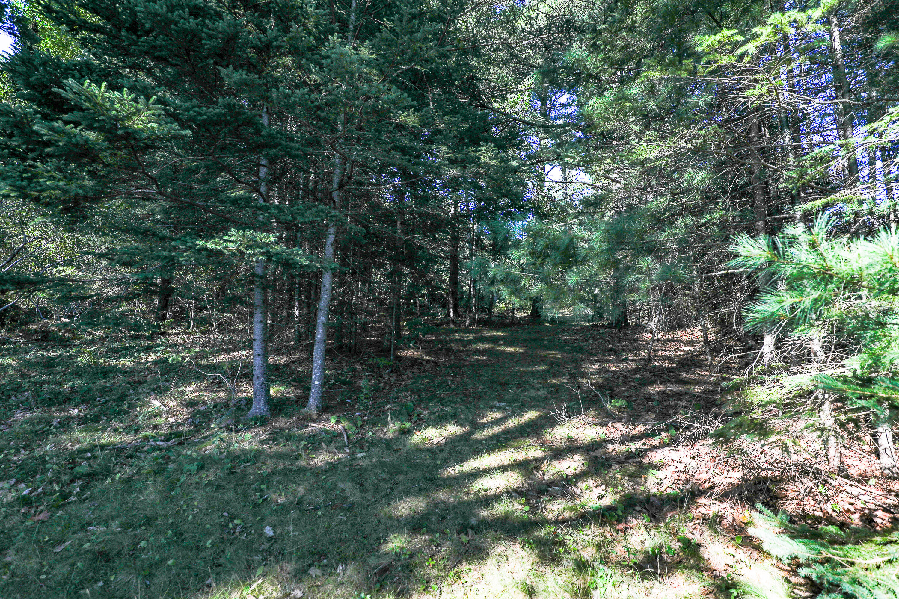 1022 Surry Road Surry ME 04684