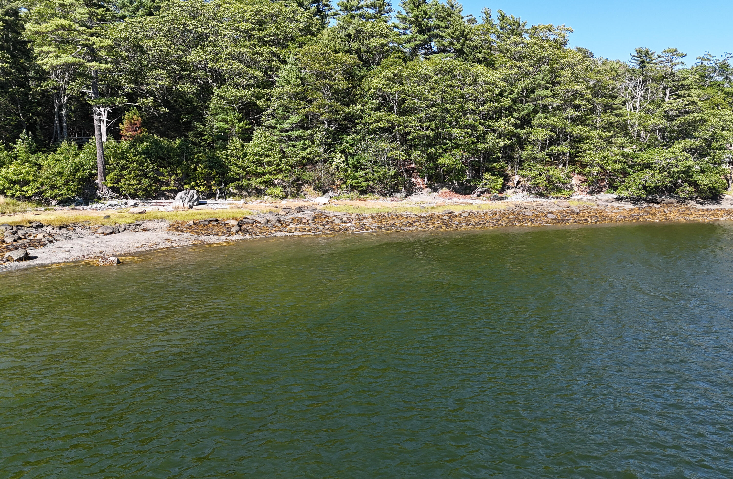 1022 Surry Road Surry ME 04684