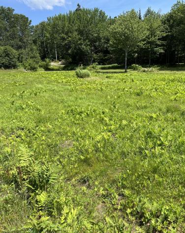 821 Tremont Road Tremont ME 04674