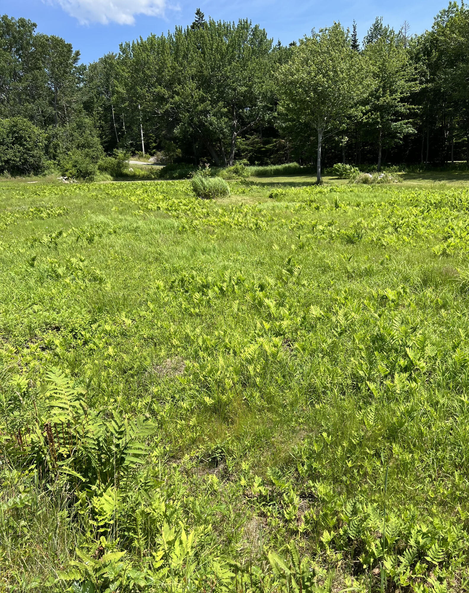 821 Tremont Road Tremont ME 04674