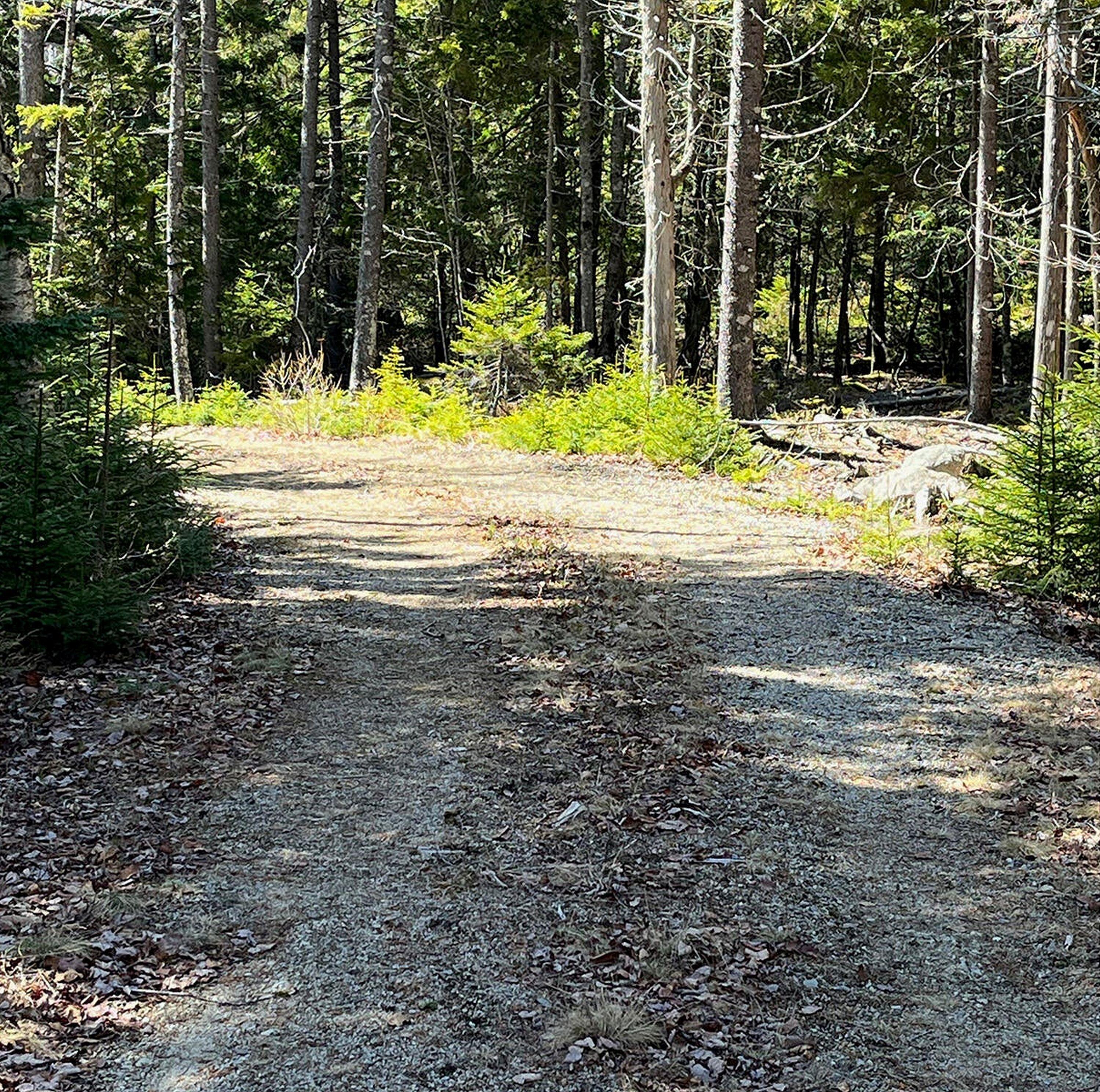 341 Summer Harbor Road Winter Harbor ME 04693