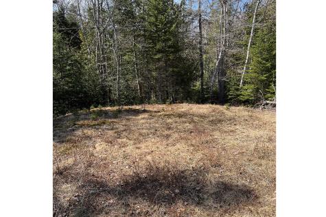 341 Summer Harbor Road Winter Harbor ME 04693