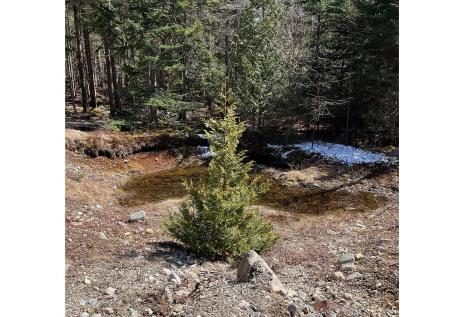 341 Summer Harbor Road Winter Harbor ME 04693